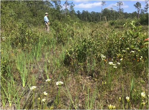 Expert assessment of illegal collecting impacts on Venus flytraps and priorities for research on illegal trade