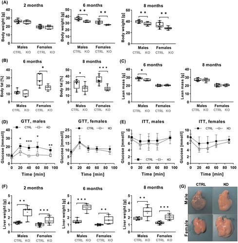 Disruption of HSD17B12 in mouse hepatocytes leads to reduced body weight and defect in the lipid droplet expansion associated with microvesicular steatosis