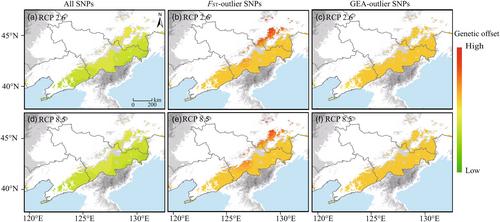 Climate change vulnerability and conservation strategies for tertiary relict tree species: Insights from landscape genomics of Taxus cuspidata