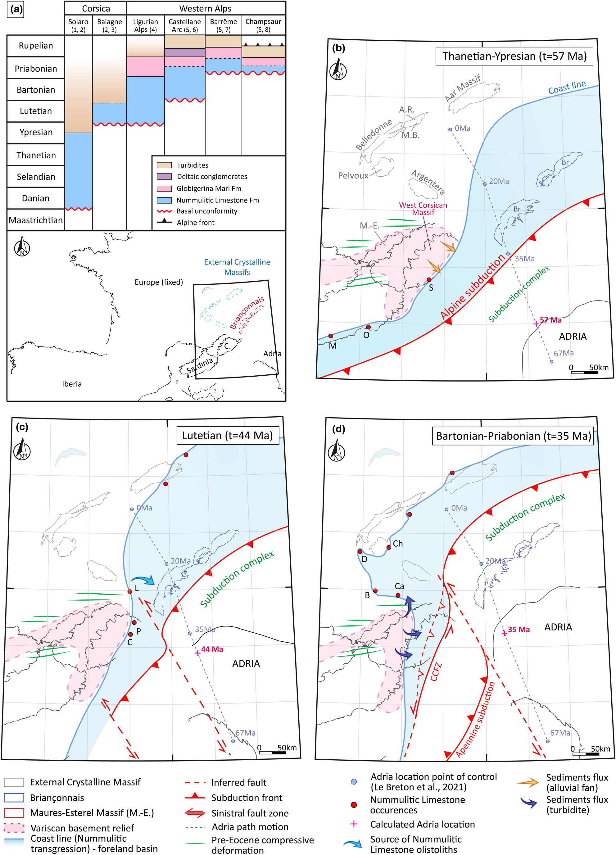 Sedimentology and structure of the Paleogene Nummulitic series of Corsica: Reconstruction of the southern termination of the western Alpine foreland basin