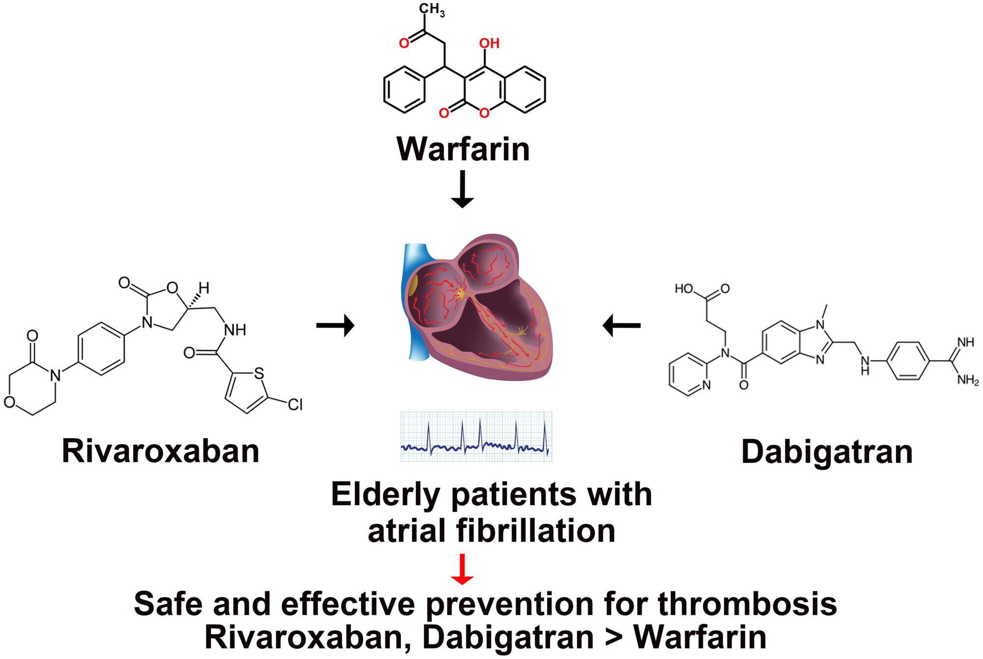 Application Value and Safety Analysis of Warfarin, Rivaroxaban, and Dabigatran Ester in Elderly Patients With Atrial Fibrillation