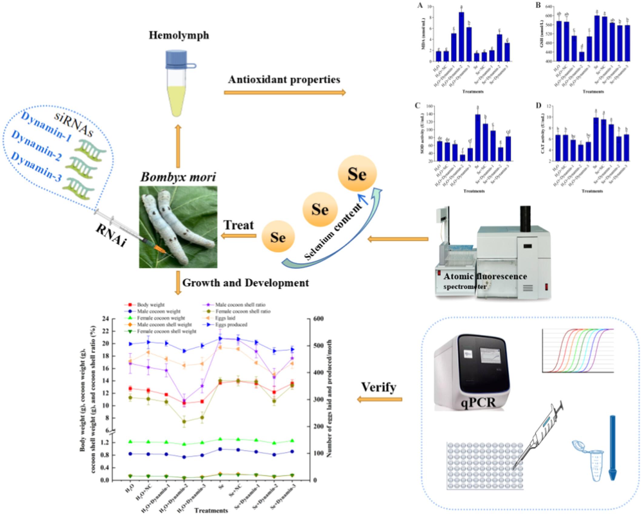 Selenium Treatment Ameliorates the Adverse Effects Caused by Dynamin Gene Knockdown in Bombyx mori