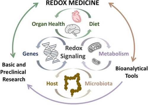 Redox medicine: from cellular targets to systems physiology and therapeutics