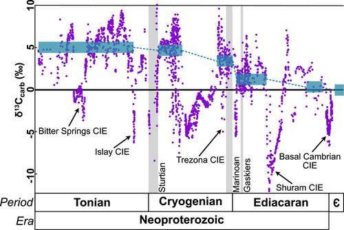 Quantitative and Nuanced Approaches Elucidate Carbon Isotope Records