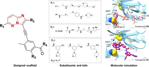 Side Chain Investigation of Imidazopyridazine as a Hinge Binder for Targeting Actionable Mutations of RET Kinase