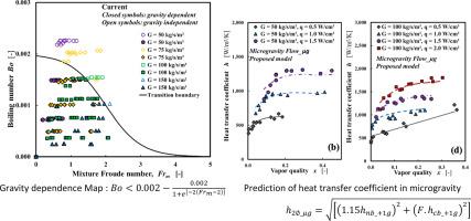 Experimental investigation and modelling of hydrodynamics and heat transfer in flow boiling in normal and microgravity conditions