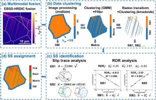 Automated analysis framework of strain partitioning and deformation mechanisms via multimodal fusion and computer vision