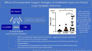 Effects of Intraoperative Support Strategies on Endothelial Injury and Clinical Lung Transplant Outcomes