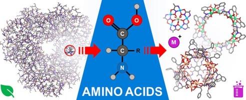 Discrete metallosupramolecular architectures with amino acids