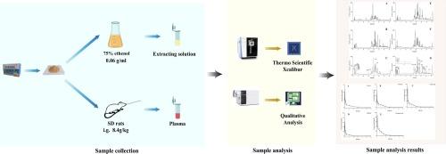 Identification of chemical constituents and pharmacokinetic characteristics of Xiaoyan Tuire Granule in rats