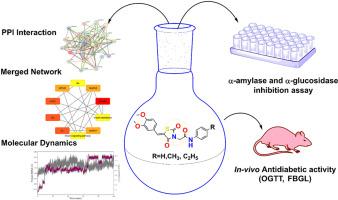 Design, synthesis, characterization and antidiabetic evaluation of 3,5-substituted thiazolidinediones: Evidenced by network pharmacology, Molecular docking, dynamic simulation, in vitro and in vivo assessment