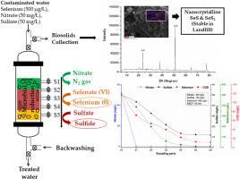 Selenium and concomitant anions removal in a fixed bed bioreactor to satisfy drinking water regulations and subsequent stability check of selenium-laden biosludge