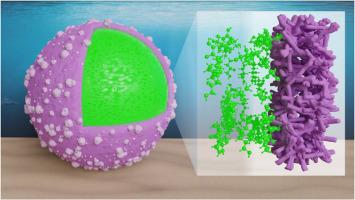 Effect of thermal processing on the integrity of polyurea microcapsules for underwater adhesives