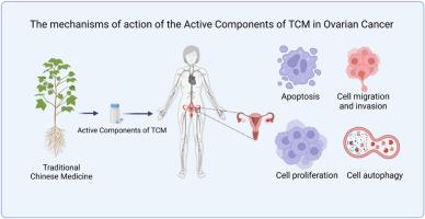 The latest research progress: Active components of Traditional Chinese medicine as promising candidates for ovarian cancer therapy