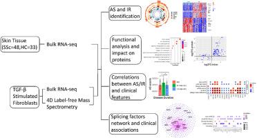 Alternative splicing and intron retention: Their profiles and roles in cutaneous fibrosis of systemic sclerosis