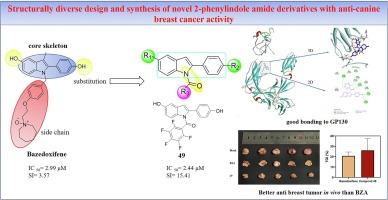 Structurally diverse design and synthesis of novel 2-phenylindole amide derivatives with anti-canine breast cancer activity