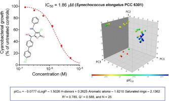 Synthesis and structure-activity relationships of novel biphenyl containing tetronamides with cyanobactericidal activity