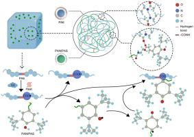 Highly enhanced toughness and thermal oxygen aging resistance of PA 6 via novel designed macromolecular antioxidants