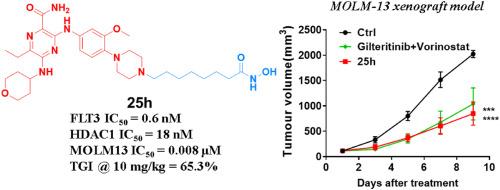 Simultaneous inhibition of FLT3 and HDAC by novel 6-ethylpyrazine-2-Carboxamide derivatives provides therapeutic advantages in acute myelocytic leukemia