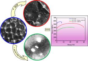 Impact of multi-scale microstructural heterogeneities on the mechanical behavior of additively manufactured and post-processed Nb-based C103 alloy