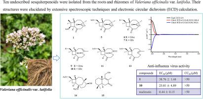 Sesquiterpenoids from the roots and rhizomes of Valeriana officinalis var. latifolia