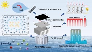 A system for efficient and sustainable cogeneration of water and electricity: Temperature difference induced by photothermal conversion and evaporative cooling