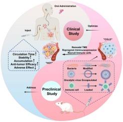 Advancements of engineered live oncolytic biotherapeutics (microbe/virus/cells): Preclinical research and clinical progress