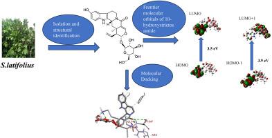 DFT and molecular docking studies of 10-hydroxylstrictosamide from methanol leaves extract of Sarcocephallus latifolius (Smith, Bruce)