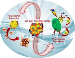 Rational design of Boerhavia diffusa derived CoFe2O4-Carbon dots@Boehmite platform for photocatalysis and ultra trace monitoring of hazardous pesticide and UO22+ ions