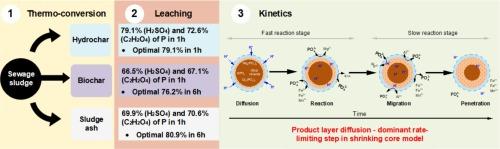 Effect of thermochemical treatment of sewage sludge on its phosphorus leaching efficiency: Insights into leaching behavior and mechanism