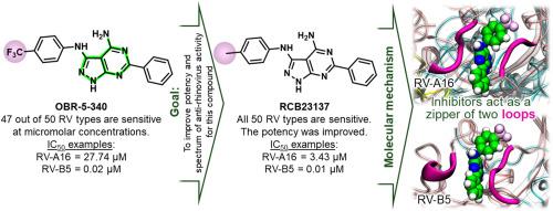 Dynamic features of virus protein 1 and substitutions in the 3-phenyl ring determine the potency and broad-spectrum activity of capsid-binding pyrazolo[3,4-d]pyrimidines against rhinoviruses