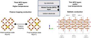 Influence of point defects on charge transport in nickel ferrite NiFe2O4