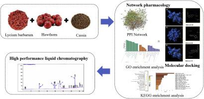 Antihypertensive mechanism of the medicine food homology compound solution with high ACE inhibition rate based on network pharmacology and molecular docking