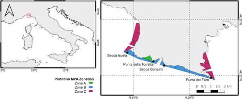 Assessment of Octocoral-Dominated Benthic Assemblages Along a Mesophotic Gradient, With a Focus on the Impact of Lost Fishing Gears