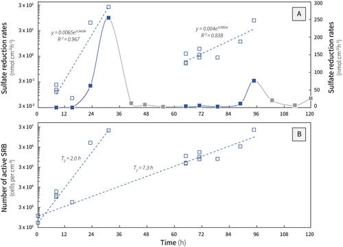 A Spatially Restricted Distribution of Thermophilic Endospores in Laptev Sea Shelf Sediments Suggests a Limited Dispersal by Local Geofluids