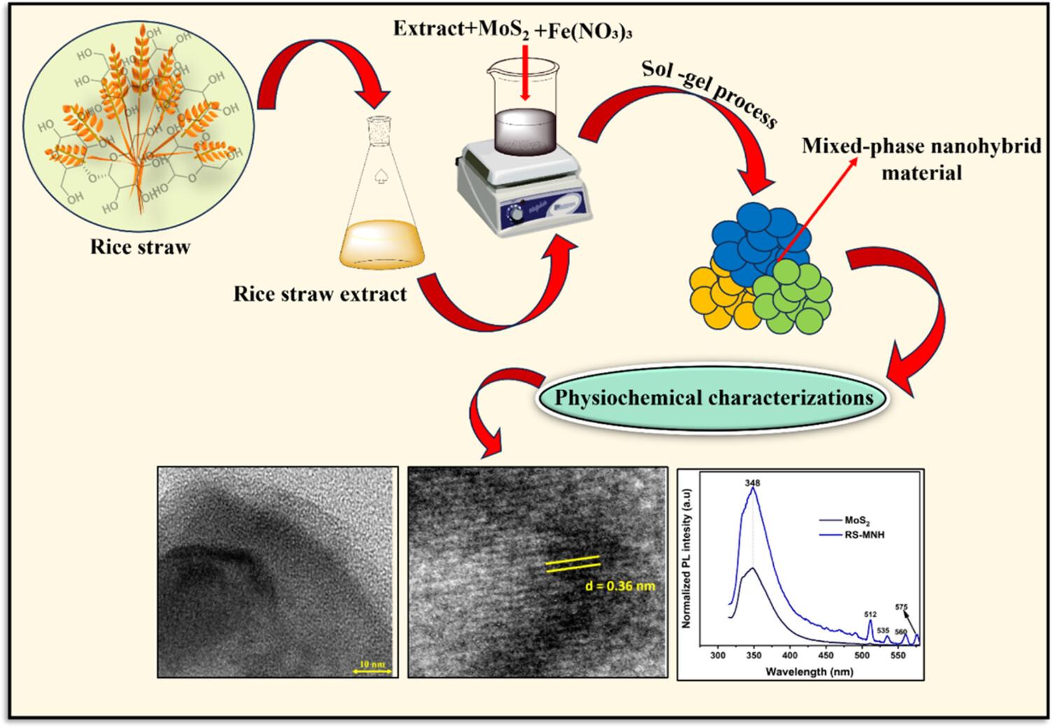 Rice straw waste-based green synthesis and characterizations investigation of Fe-MoS2-derived nanohybrid