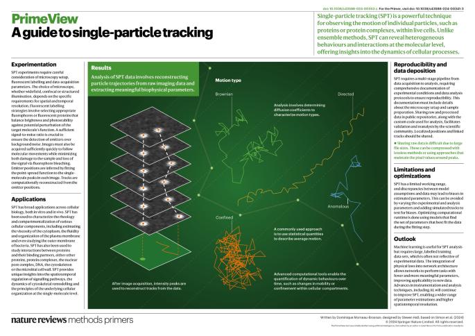 A guide to single-particle tracking