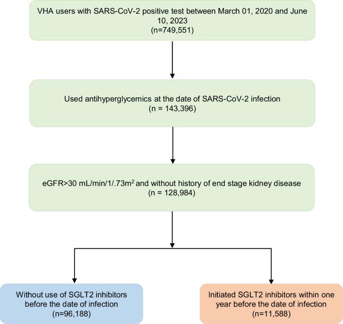 Adverse cardiovascular and kidney outcomes in people with SARS-CoV-2 treated with SGLT2 inhibitors