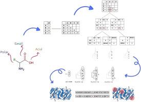 Construction of amino acids reduced alphabets from molecular descriptors for interpretation of N-carbamylase, luciferase and PI3K mutations