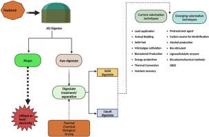 Current and prognostic overview of digestate management and processing practices, regulations and standards