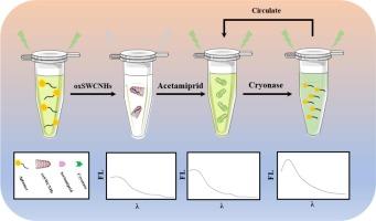 Sensitive and selective fluorescence detection of acetamiprid using oxidized single-walled carbon nanohorns and cryonase-assisted signal amplification