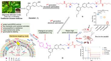 Discovery of membrane-targeting amphiphilic honokiol derivatives containing an oxazolethione moiety to combat methicillin-resistant Staphylococcus aureus (MRSA) infections