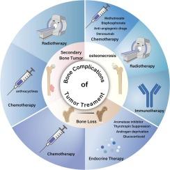 Bone complications of cancer treatment