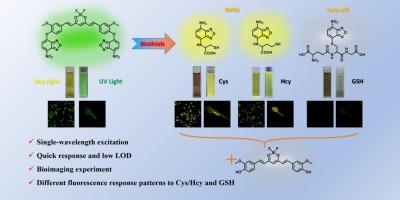 A highly effective curcumin-based fluorescent probe with single-wavelength excitation for simultaneous detection and bioimaging of Cys, Hcy and GSH