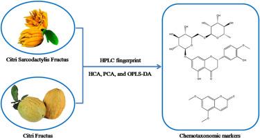 Hesperidin and 5, 7-dimethoxycoumarin act as markers in the chemotaxonomy of Citrus medica L. var. sarcodactylis Swingle and Citrus medica L.