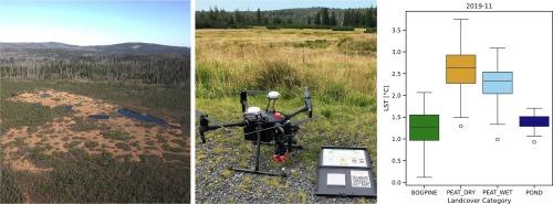 Montane peatland response to drought: Evidence from multispectral and thermal UAS monitoring