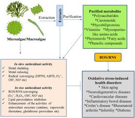 Natural metabolites with antioxidant activity from micro-and macro-algae