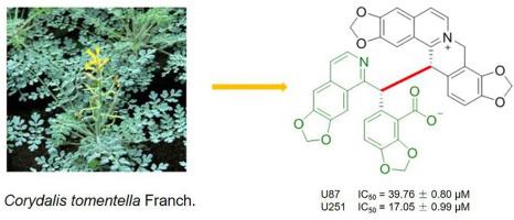 Tomentediline A: A isoquinoline alkaloids with undescribed carbon skeleton from Corydalis tomentella