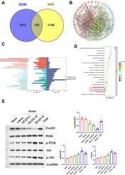 Traditional Chinese medication qili qiangxin capsule protects against myocardial ischemia-reperfusion injury through suppressing autophagy via the phosphoinositide 3-kinase/protein kinase B/forkhead box O3 axis