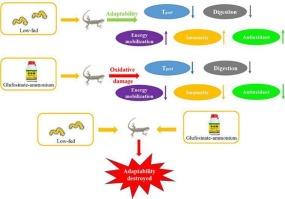 Negative effects on the adaptive strategies of the lizards (Eremias argus) under starvation after exposure to Glufosinate-ammonium